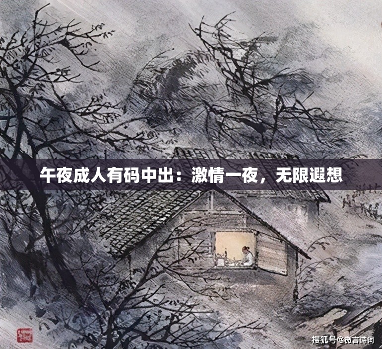 午夜成人有码中出：激情一夜，无限遐想