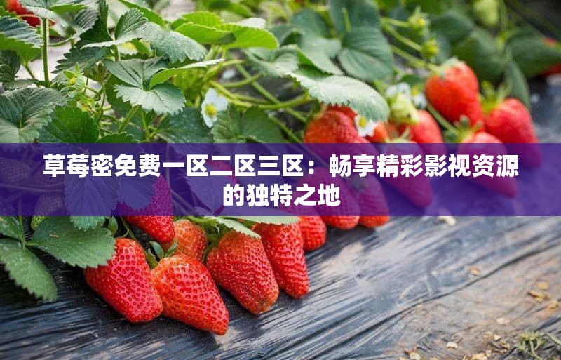 草莓密免费一区二区三区：畅享精彩影视资源的独特之地