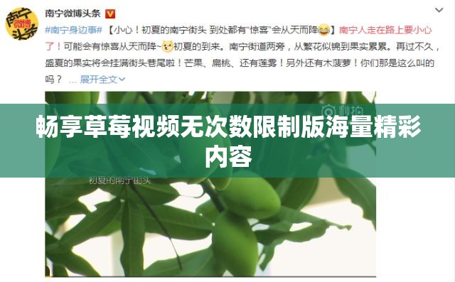 畅享草莓视频无次数限制版海量精彩内容