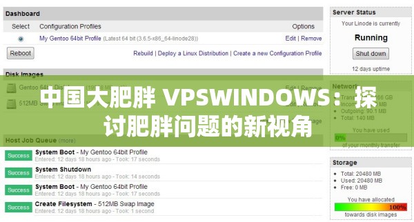 中国大肥胖 VPSWINDOWS：探讨肥胖问题的新视角