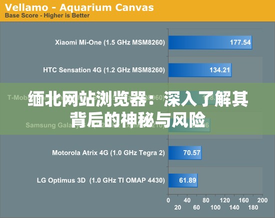 缅北网站浏览器：深入了解其背后的神秘与风险