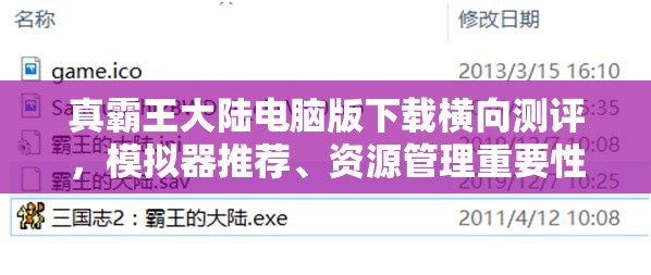 真霸王大陆电脑版下载横向测评，模拟器推荐、资源管理重要性及优化策略详解