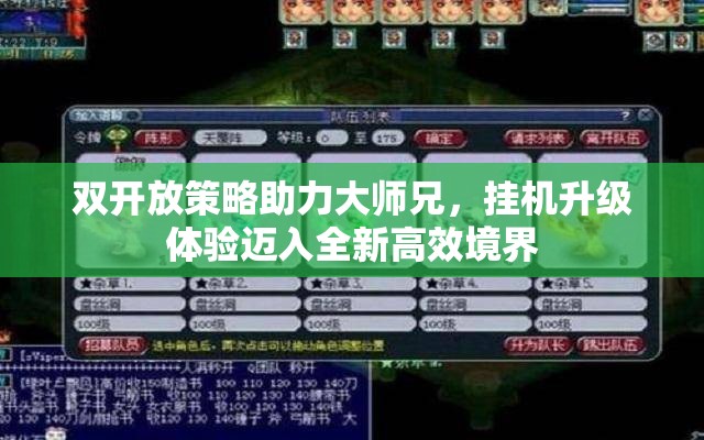 双开放策略助力大师兄，挂机升级体验迈入全新高效境界