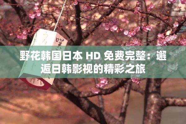 野花韩国日本 HD 免费完整：邂逅日韩影视的精彩之旅