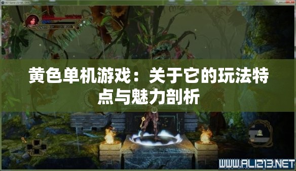 黄色单机游戏：关于它的玩法特点与魅力剖析