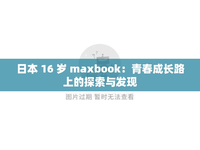 日本 16 岁 maxbook：青春成长路上的探索与发现