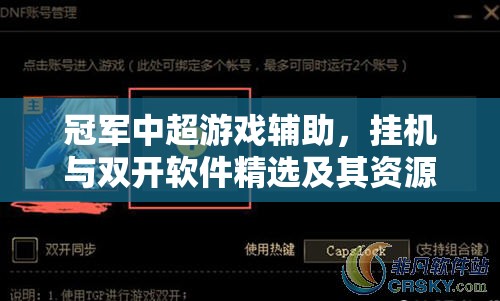 冠军中超游戏辅助，挂机与双开软件精选及其资源管理高效策略解析