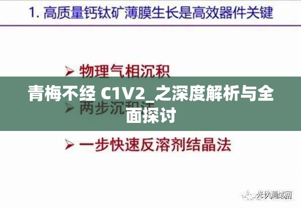 青梅不经 C1V2_之深度解析与全面探讨