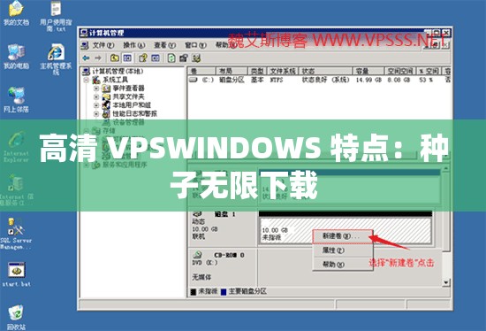 高清 VPSWINDOWS 特点：种子无限下载