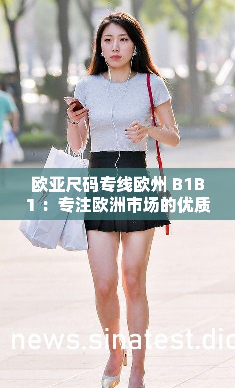 欧亚尺码专线欧州 B1B1 ：专注欧洲市场的优质专线服务