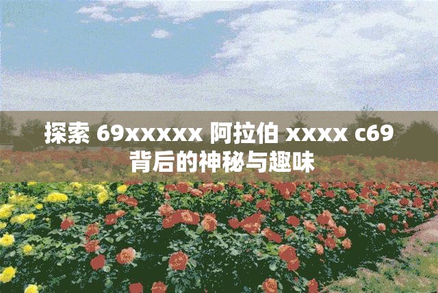 探索 69xxxxx 阿拉伯 xxxx c69 背后的神秘与趣味