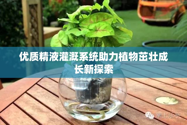 优质精液灌溉系统助力植物茁壮成长新探索