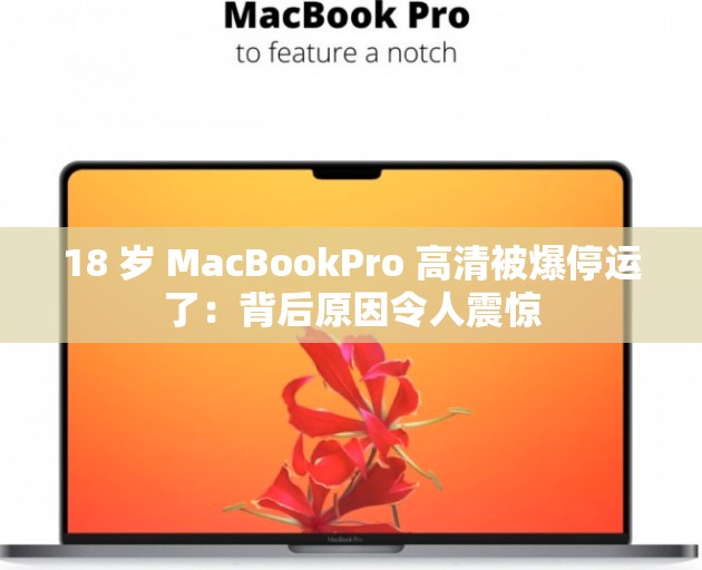 18 岁 MacBookPro 高清被爆停运了：背后原因令人震惊