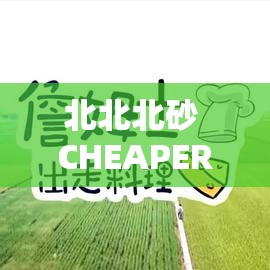 北北北砂 CHEAPER2.WORK 网站入口：带你体验不一样的视觉盛宴