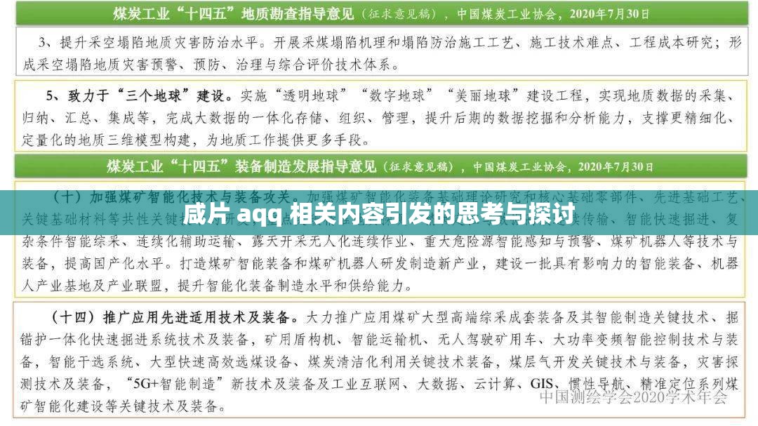 咸片 aqq 相关内容引发的思考与探讨