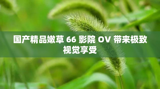 国产精品嫩草 66 影院 OV 带来极致视觉享受