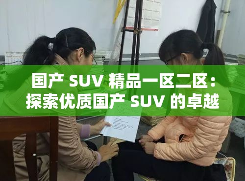 国产 SUV 精品一区二区：探索优质国产 SUV 的卓越风采