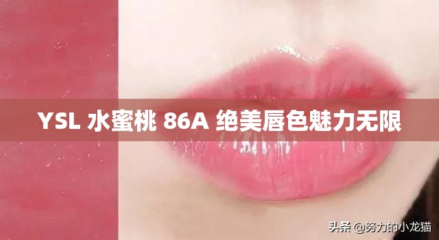 YSL 水蜜桃 86A 绝美唇色魅力无限