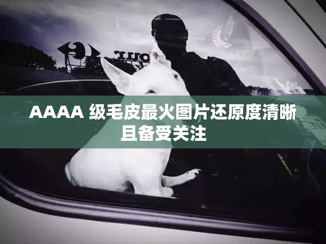 AAAA 级毛皮最火图片还原度清晰且备受关注