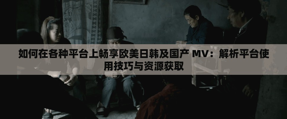 如何在各种平台上畅享欧美日韩及国产 MV：解析平台使用技巧与资源获取