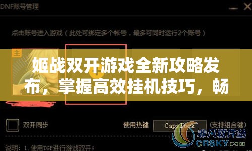 姬战双开游戏全新攻略发布，掌握高效挂机技巧，畅享双倍游戏新体验