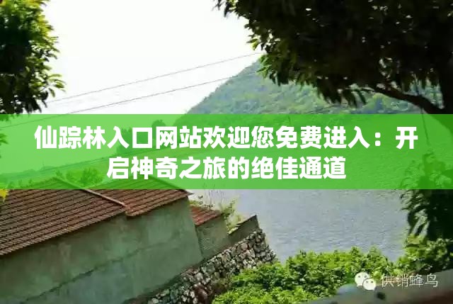 仙踪林入口网站欢迎您免费进入：开启神奇之旅的绝佳通道