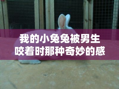 我的小兔兔被男生咬着时那种奇妙的感觉