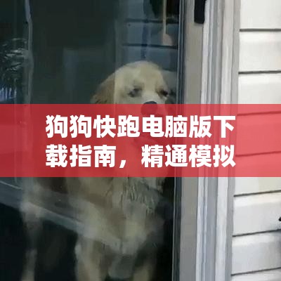 狗狗快跑电脑版下载指南，精通模拟器下载与高效资源管理技巧