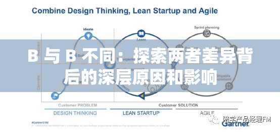 B 与 B 不同：探索两者差异背后的深层原因和影响