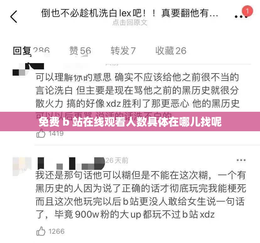 免费 b 站在线观看人数具体在哪儿找呢