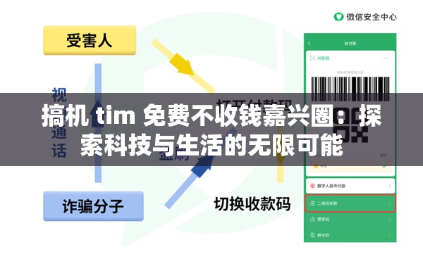 搞机 tim 免费不收钱嘉兴圈：探索科技与生活的无限可能