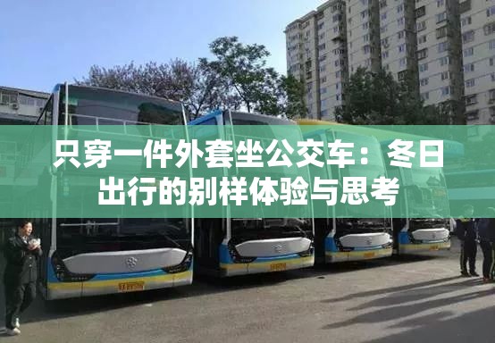 只穿一件外套坐公交车：冬日出行的别样体验与思考