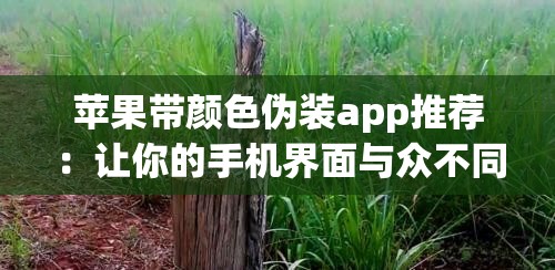 苹果带颜色伪装app推荐：让你的手机界面与众不同