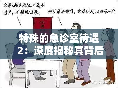 特殊的急诊室待遇 2：深度揭秘其背后不为人知的故事