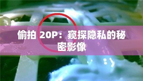 偷拍 20P：窥探隐私的秘密影像