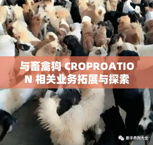 与畜禽狗 CROPROATION 相关业务拓展与探索