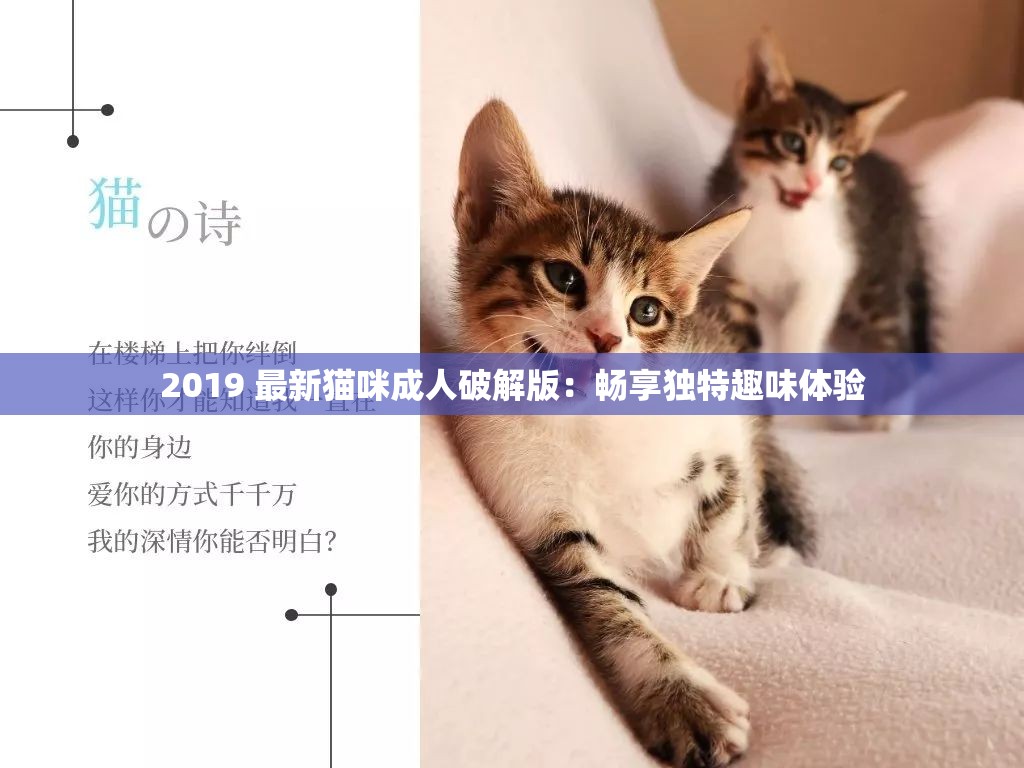 2019 最新猫咪成人破解版：畅享独特趣味体验