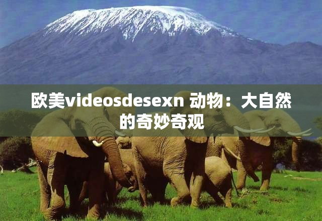 欧美videosdesexn 动物：大自然的奇妙奇观