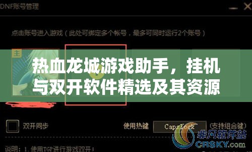 热血龙城游戏助手，挂机与双开软件精选及其资源管理高效策略解析