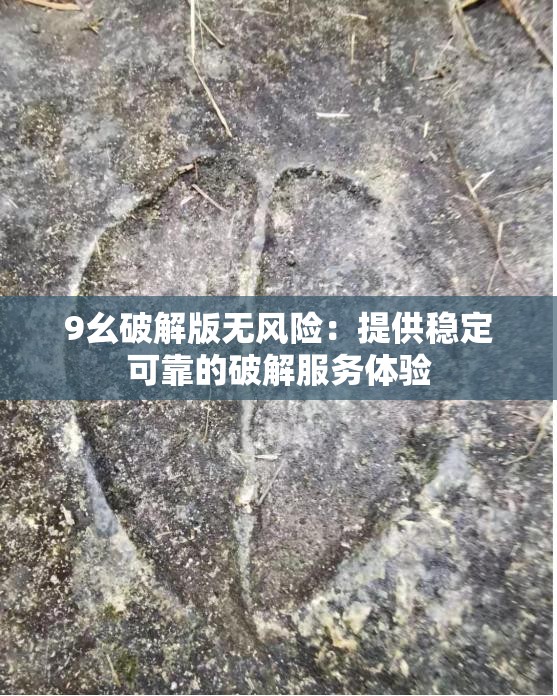 9幺破解版无风险：提供稳定可靠的破解服务体验