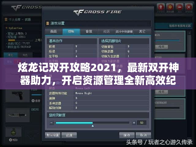 炫龙记双开攻略2021，最新双开神器助力，开启资源管理全新高效纪元