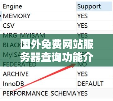 国外免费网站服务器查询功能介绍：助您轻松获取优质服务