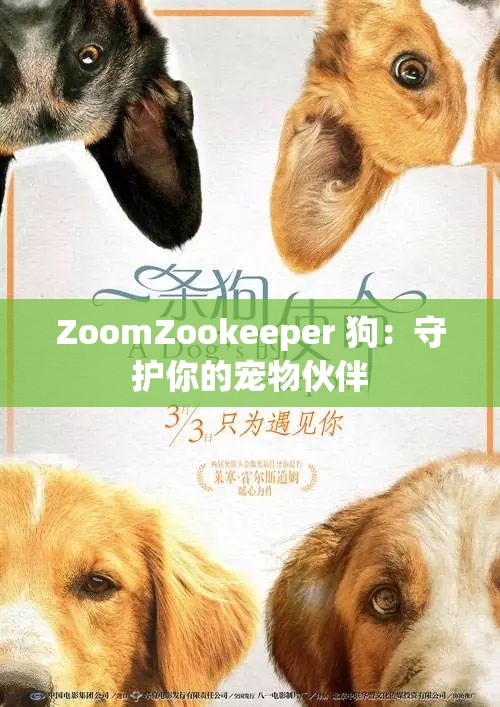 ZoomZookeeper 狗：守护你的宠物伙伴