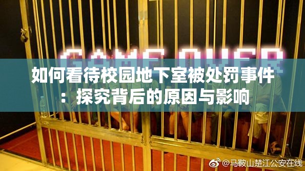 如何看待校园地下室被处罚事件：探究背后的原因与影响