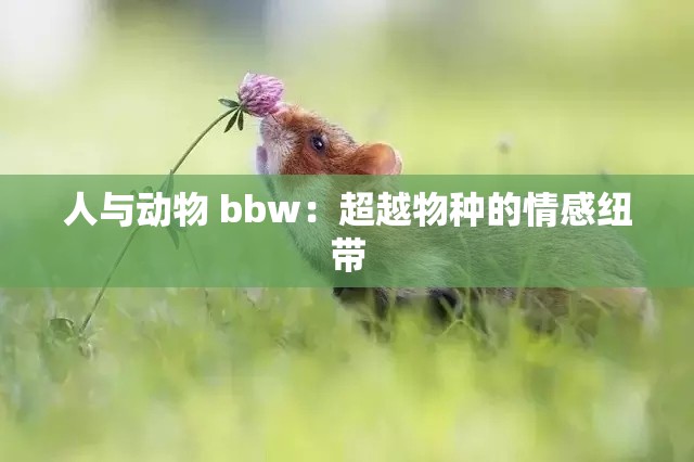 人与动物 bbw：超越物种的情感纽带