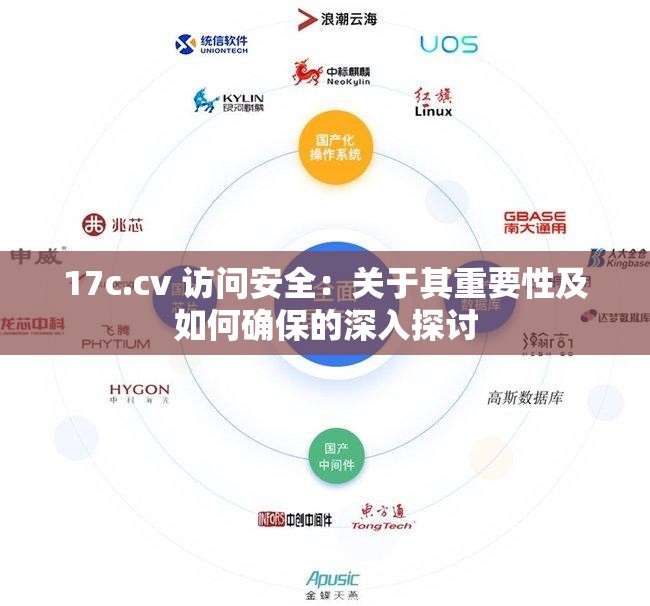 17c.cv 访问安全：关于其重要性及如何确保的深入探讨