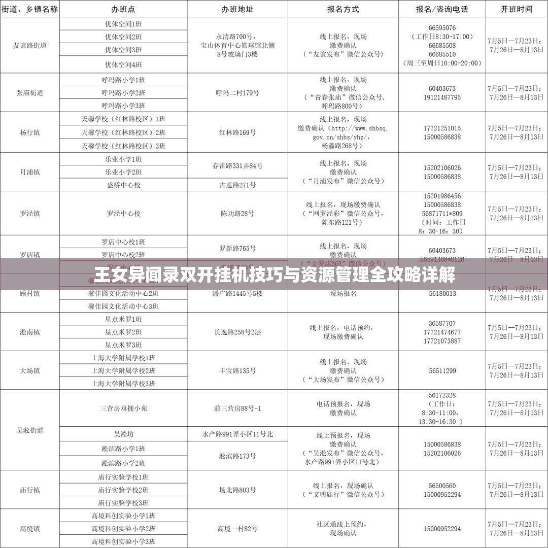 王女异闻录双开挂机技巧与资源管理全攻略详解