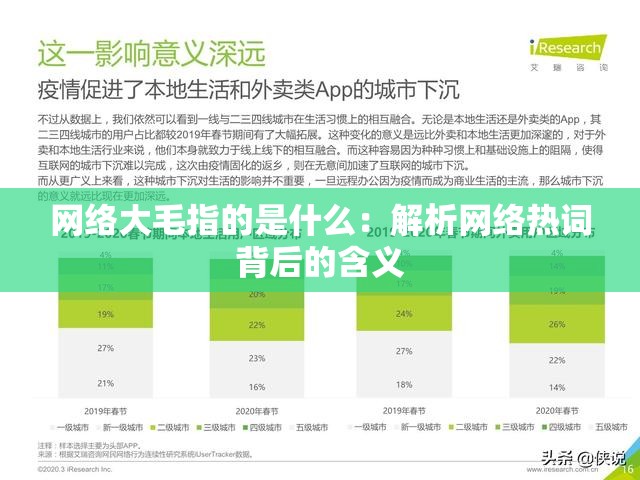 网络大毛指的是什么：解析网络热词背后的含义