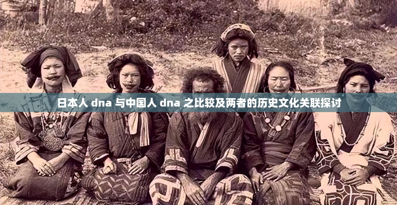 日本人 dna 与中国人 dna 之比较及两者的历史文化关联探讨