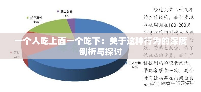 一个人吃上面一个吃下：关于这种行为的深度剖析与探讨